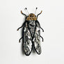 Beaded Silver & Black Cicada Embroidered Pin by Trovelore