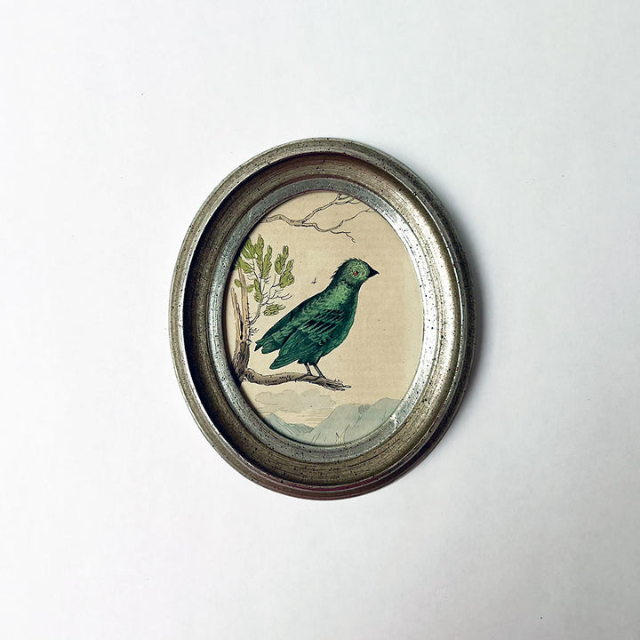 Teal Bird on a Branch Original Hand-Colored French Engraving in Vintage Oval Frame