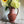 Large Footed Ceramic Pitcher Deep Spice