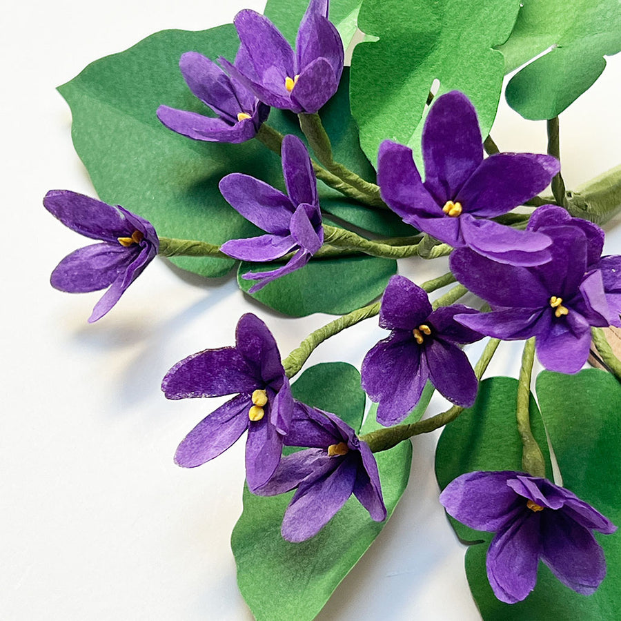 Paper Violet Stem by The Green Vase