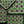 PATCH NYC Purple Dahlia Small Rectangle Tray