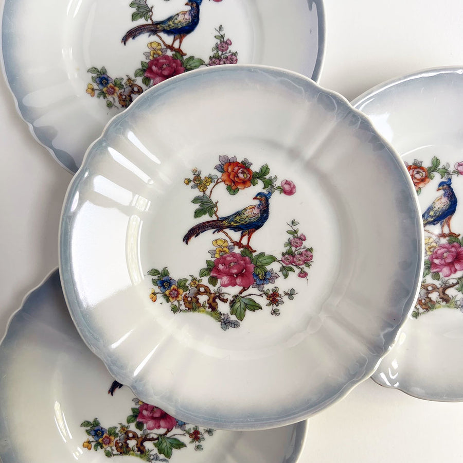 Vintage Peacock Small Ceramic Plates Made in Germany (Set of 4)