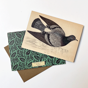 PATCH NYC Rock Dove Notecard