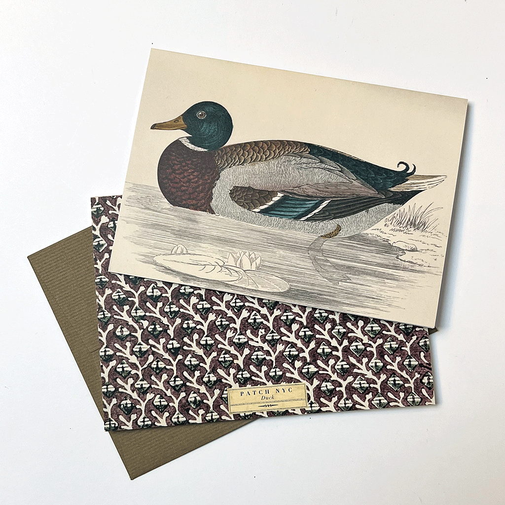 PATCH NYC Duck Notecard