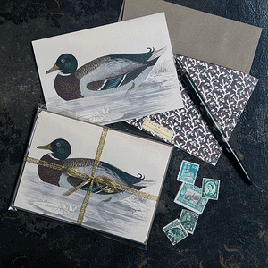 PATCH NYC Duck Notecard