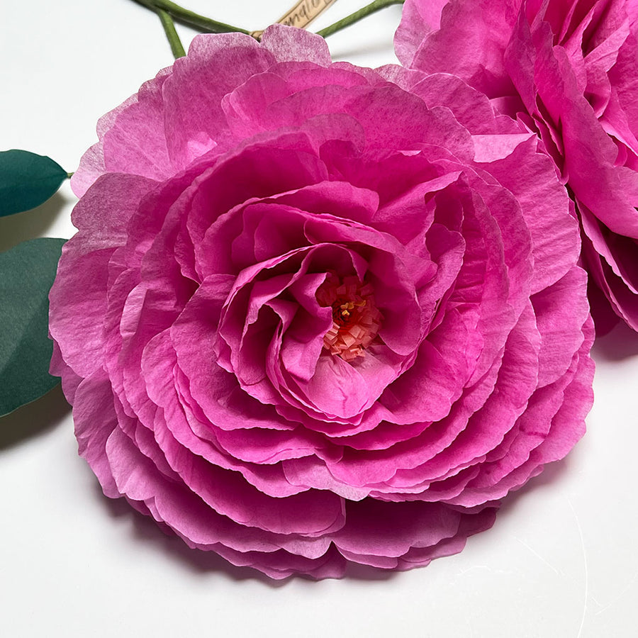 Paper Double Floribunda Rose Stem Pink
