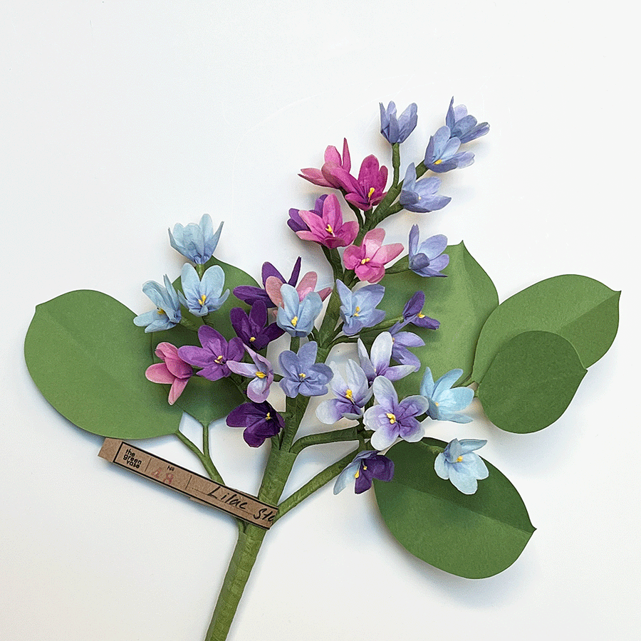 Paper Mixed Purples Lilac Stem