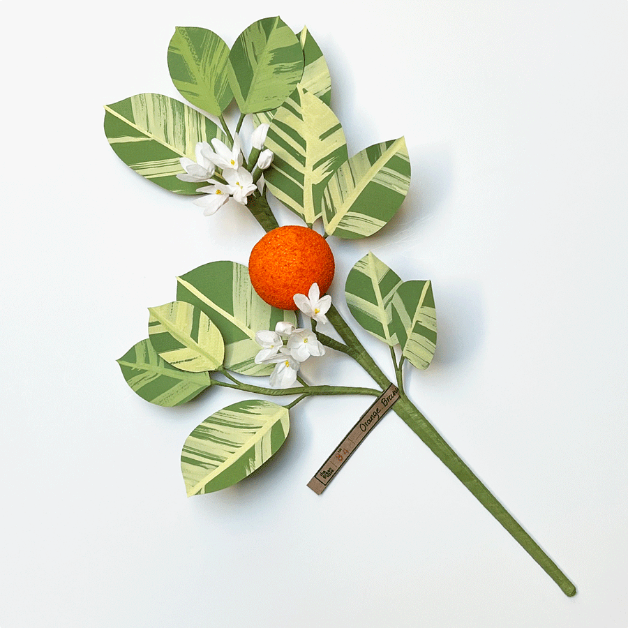 Paper Orange Blossom Stem