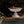 Astier de Villatte Vauban Footed Bowl