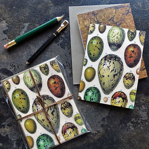 PATCH NYC Oeuf (Egg) Notecard Set