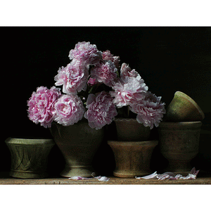 John Ross Still Life with Peonies in Clay Pots