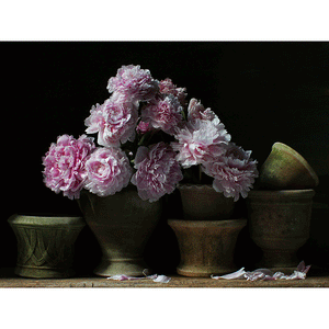 ross plant pots John Ross Still Life with Peonies in Clay Pots Art Print – PATCH NYC