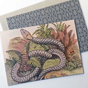 PATCH NYC Serpent Notecard Set