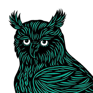 Don Carney Wise Owl Teal Green Art Print