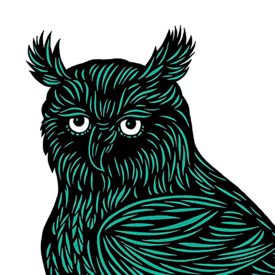 Don Carney Wise Owl Teal Green Art Print {DCP03}